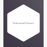 Professional Cleaners 